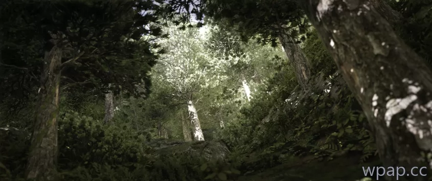 自然风光 · 3440×1440