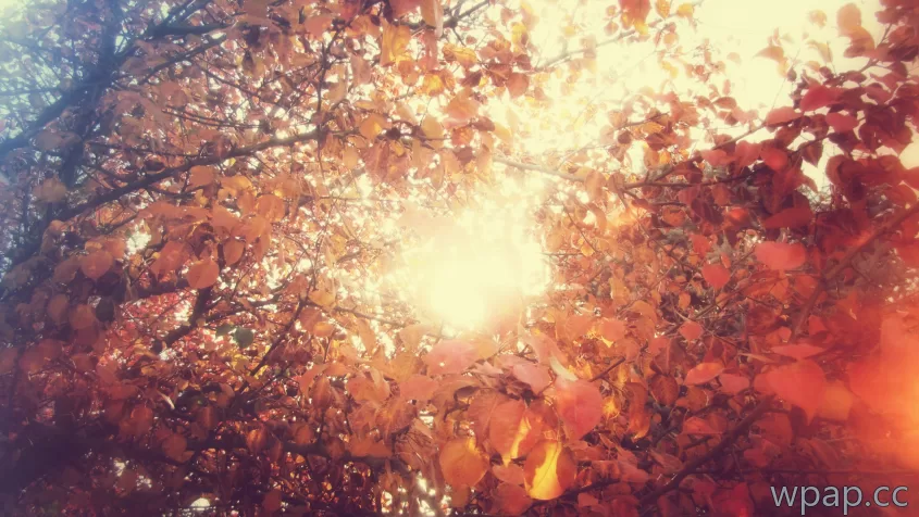 自然风光 · 2842×1600