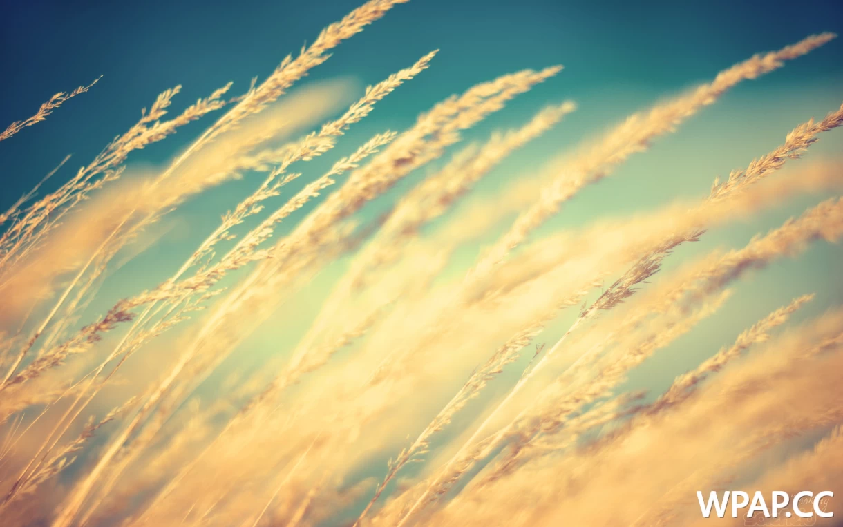 自然风光 · 2560×1600