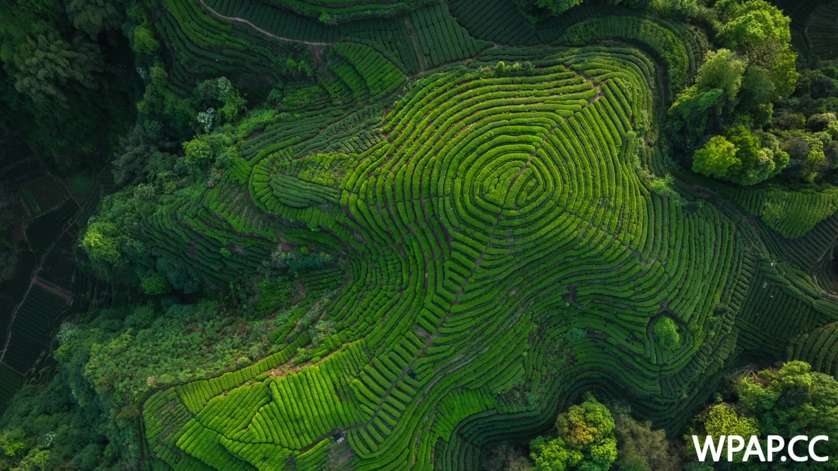 酿造传承