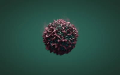 自然风光 · 2560×1600