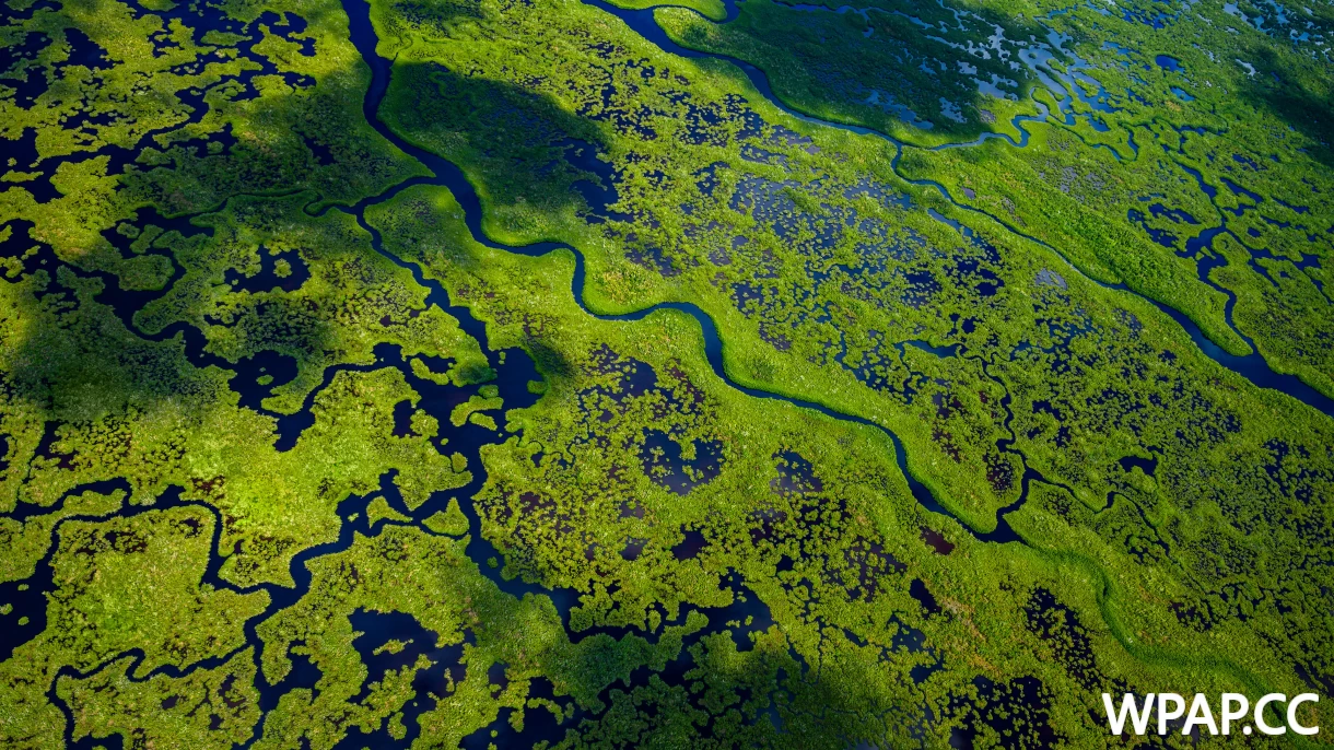 顺流而行