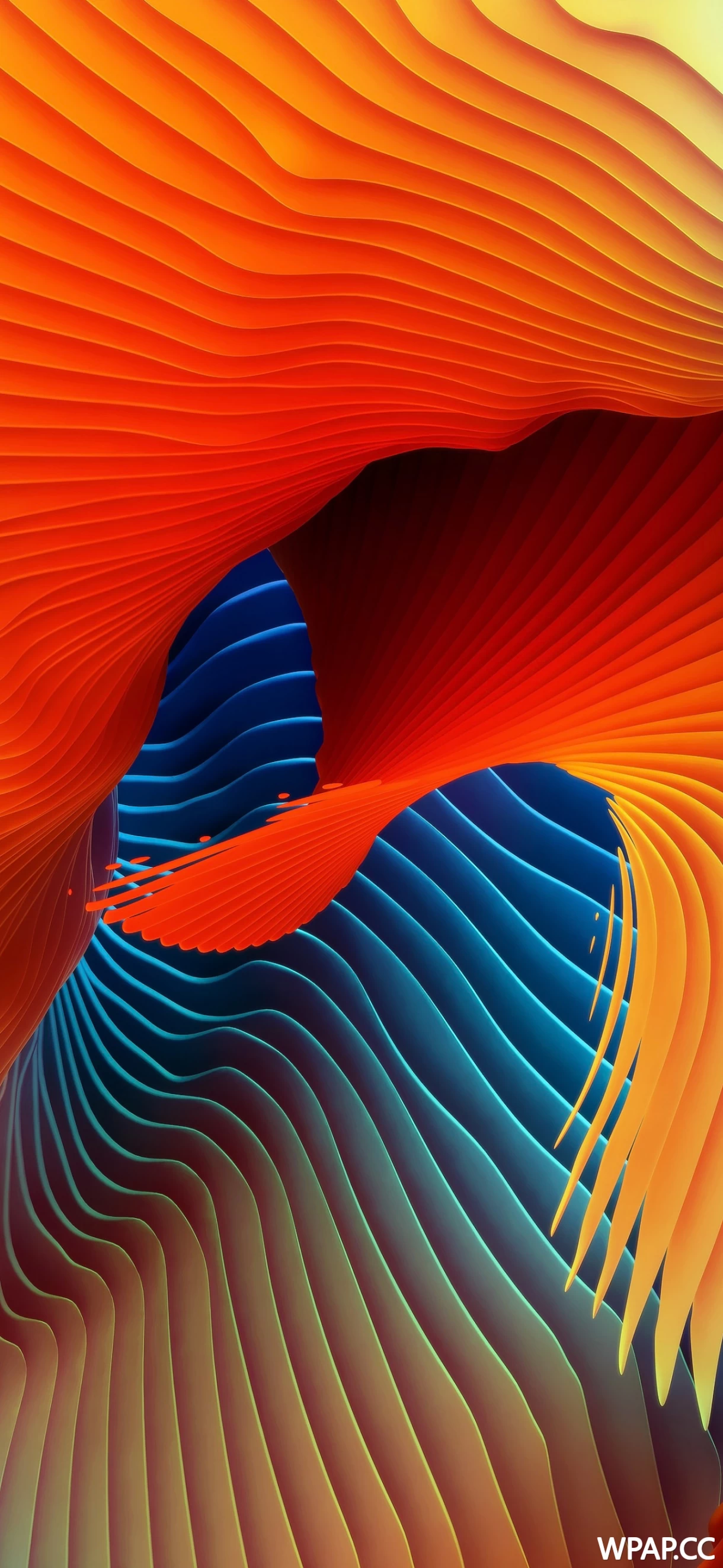 自然风光 · 1290×2796