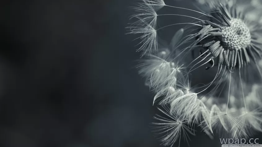 自然风光 · 2560×1440